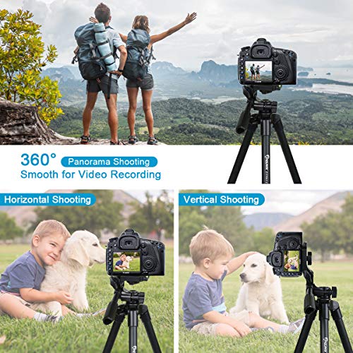 Endurax 60" Phone Tripod for Canon Camera Stand with Universal Phone Mount & Remote Shutter Max Load 6.6 lb, No Quick Release Plate, Black