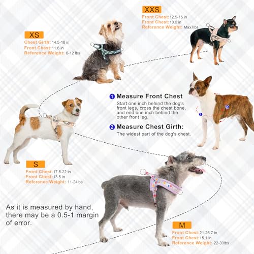 BEAUTYZOO No Pull Small Dog Harness and Leash Set for Small Medium Dogs, Soft Flannel Padded Dog Vest Harness, Adjustable Puppy Harness Front Back Clip Attachment, Quick Fit Easy for Training Walking