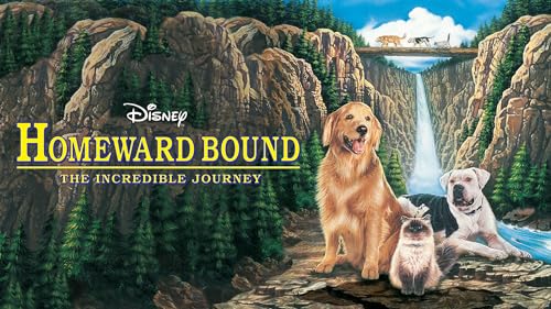 Homeward Bound: The Incredible Journey