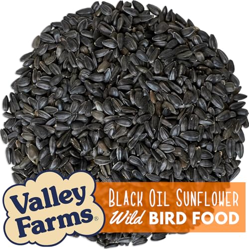 Valley Farms Black Oil Sunflower Seed Wild Bird Food 10 LB 2-Pack (20 LB Total) for Outside Feeders, Sunflower Seeds for Birds, Wild Bird Seed for Outside Feeders