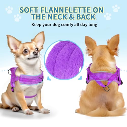 Lukovee No Pull Dog Harness and Leash Set, Soft Padded Small Dog Harness, Neck & Chest Adjustable Reflective Vest Puppy Harness with 4ft Lightweight Anti-Twist Dog Leash for Small Dogs (XXS, Purple)