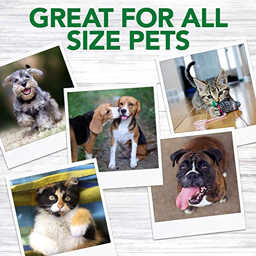 Vets Best Pet Toothbrush | Easy Teeth Cleaning for Dog and Cat Dental Care, Perfect for Dogs and Cats - 5 Pack