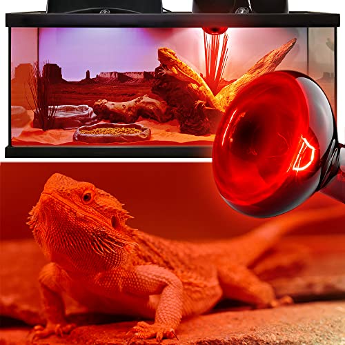 MCLANZOO 2 Pack 50w Reptile Heat Lamp Bulb Infrared Basking Spot Heat Lamp for Reptiles & Bearded Dragon Amphibian, Chicks, Dog Heating Use with Stick-on Digital Temperature Thermometer