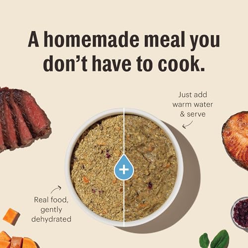 The Honest Kitchen Human Grade Dehydrated Whole Grain Dog Food – Complete Meal or Dog Food Topper – Beef 10-Pack of 1.5 oz Sachets