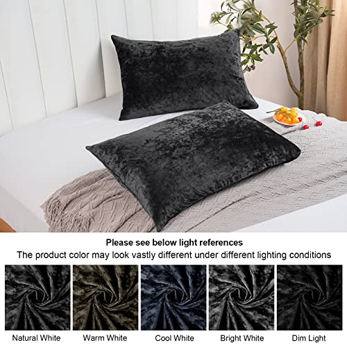 PHF Truly Velvet Pillowcases King Size, No Insert, 2 Pack Ultra Soft Breathable Pillow Shams Covers with Envelope Closure, 20" X 36" Luxury Cozy Warm Fuzzy Flannel Pillow Cases, Wine Red