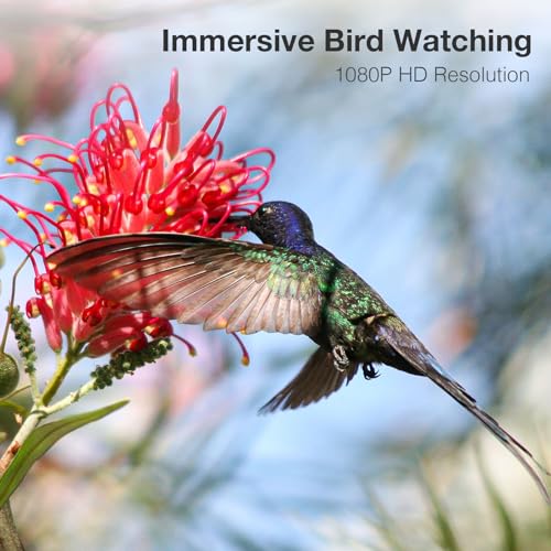 Farmice Bird Feeder with Camera, Smart Bird Feeder Camera with AI Recognition, Capture Birds Video and Notify, Solar Powered Bird Camera Feeder for outside