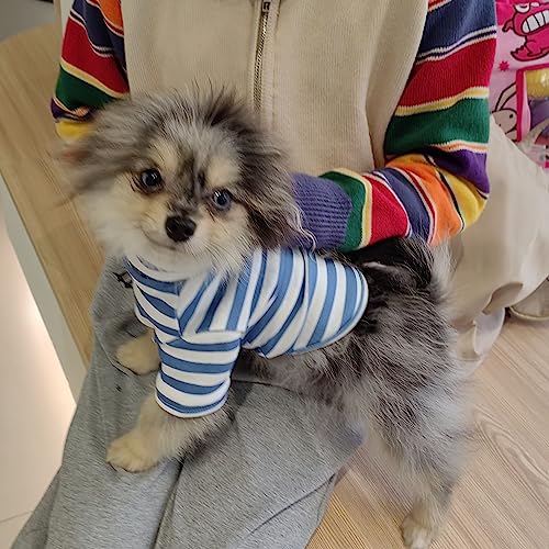 Turtleneck Dog Sweater Cute Doggie Embroidery Super Soft Dog Sweatshirt Dog Shirt Stretchy Striped Puppy Pullover for Cats Small Medium Large Dog (Black Striped, X-Small)