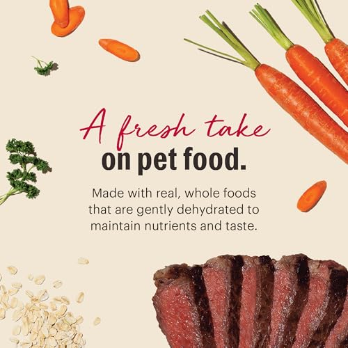 The Honest Kitchen Human Grade Dehydrated Whole Grain Dog Food – Complete Meal or Dog Food Topper – Beef 10-Pack of 1.5 oz Sachets