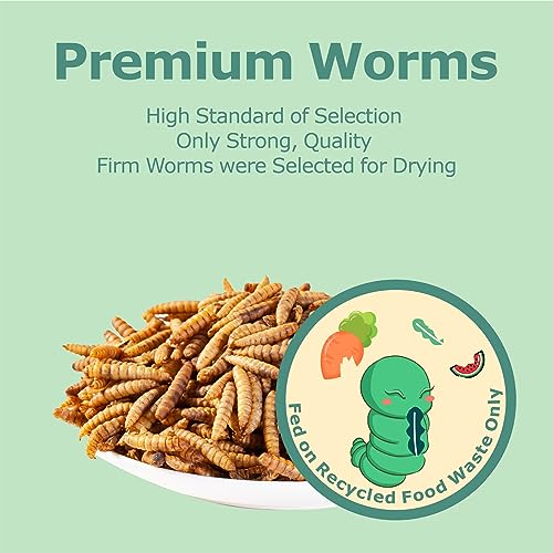 WORMSKING 2LB Dried Black Soldier Fly Larvae, More Calcium Than Dried Mealworms, High Protein Chicken Feed, Poultry Treat, Chicken Scratch