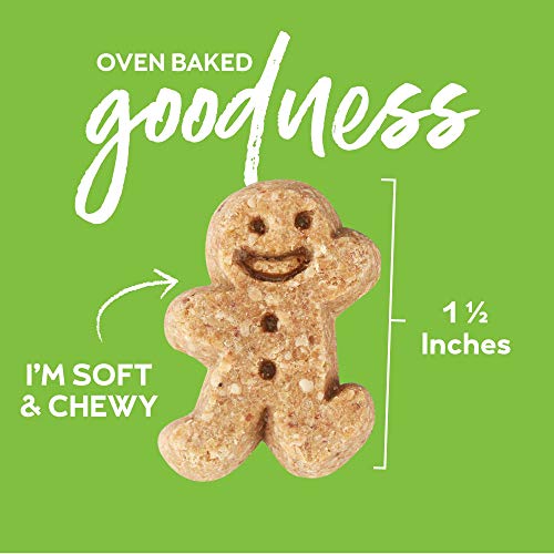 Buddy Biscuit Softies 5 oz Pouch, Soft & Chewy, Natural Roasted Chicken Flavor Dog Treats, Oven Baked in the USA