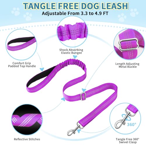 Lukovee No Pull Dog Harness and Leash Set, Soft Padded Small Dog Harness, Neck & Chest Adjustable Reflective Vest Puppy Harness with 4ft Lightweight Anti-Twist Dog Leash for Small Dogs (XXS, Purple)