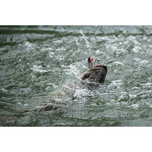 Berkley Cane Walker Topwater Fishing Lure, Blue Bullet, 5/6 oz, 125mm Topwater, Heavy Tail Weight for Long-Distance Casting, Equipped with Fusion19 Hook