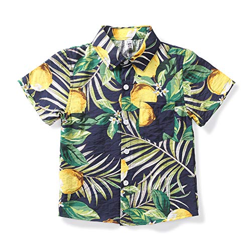 OCHENTA Toddler Boys Button Down Hawaiian Shirt Short Sleeve Pineapple Summer Tropical Tops H Yellow 110CM - 3T
