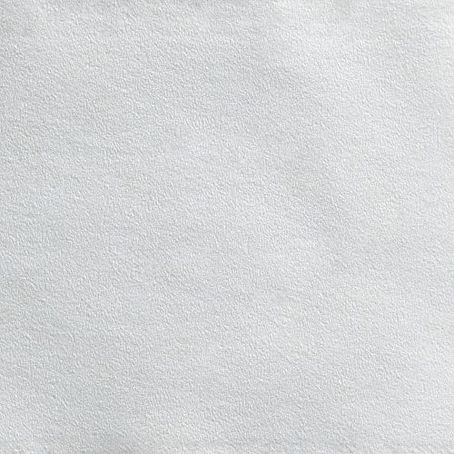 PACIFIC BLUE BASIC® JUMBO JR. 2-PLY HIGH-CAPACITY TOILET PAPER, WHITE, 8 ROLLS PER CASE