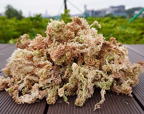 Kapecute 5oz Sphagnum Moss for Plant Propagation, Great Orchid Potting Mix, Help with Maintain Humidity