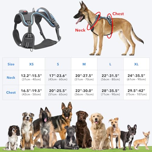 Vizbrite Light Up Dog Harness, No Pull LED Dog Harness with Handle, Rechargeable Lighted Safety Vest for Small Medium Large Dogs, Adjustable Soft Dog Lights for Night Walking