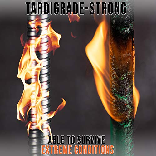 Tardigrade Metal Garden Hose 1 FT, Heavy Duty 304 Short Stainless Steel Water Hoses, Unmatched Durability, Flexible, Lightweight, Outdoor