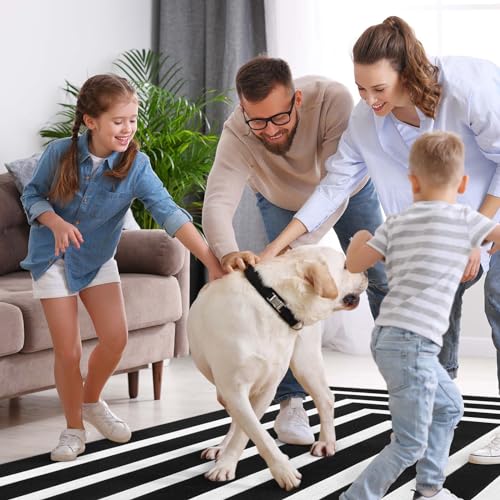 Lahome Black and White Outdoor Patio Rug, 3x5 Washable Outdoor Rugs for Front Door Mat Woven Cotton Area Rug, Geometric Indoor Outdoor Rugs Front Porch Rug for Bedroom Backyard
