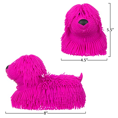 Expressions 1pc Shaggy Dog Squeeze Toy - Squishy Pet Dog - Novelty Fidget Toys, Anxiety Relief Items, Sensory Toys & Stress Relief Dog Toy, Fidgets for Adults