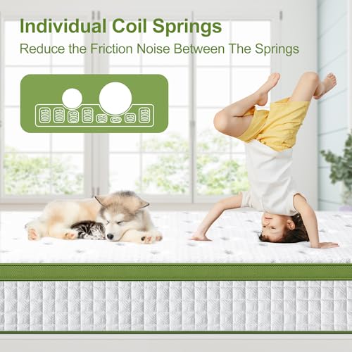 BedStory Queen Mattress, 10 Inch Hybrid Mattress Twin Size in a Box with Gel Memory Foam and Pocket Springs, Medium Firm Mattress, Pressure Relief & Motion Isolation, CertiPUR-Us Certified, No Odor