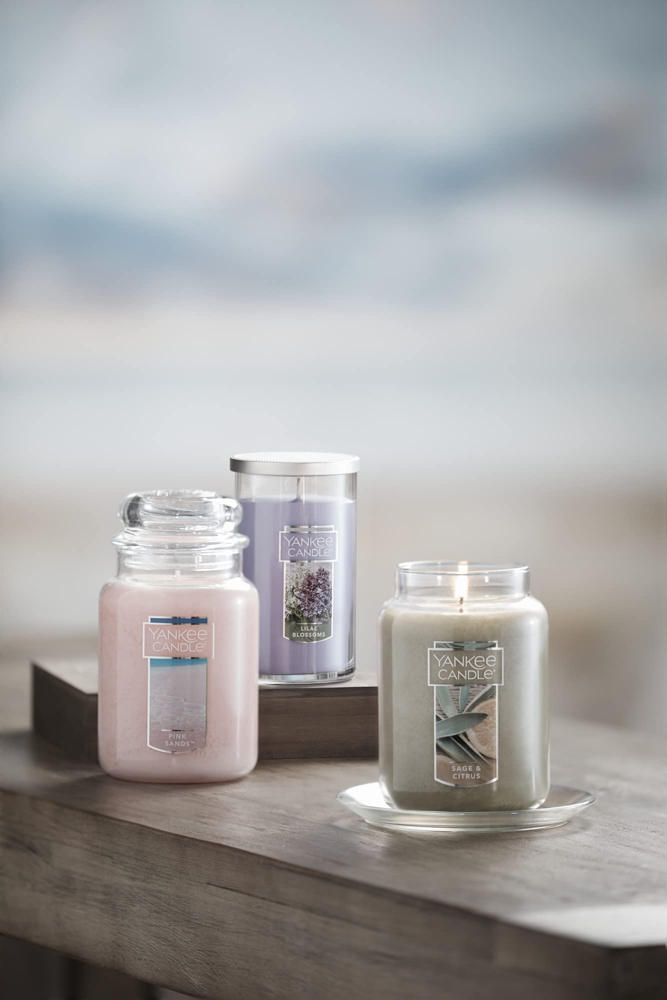 Yankee Candle Sage & Citrus Scented, 22oz Single Wick Candle, Over 110 Hours of Burn Time, Ideal for Home Decor and Gifts, Classic Large Jar, Ivory