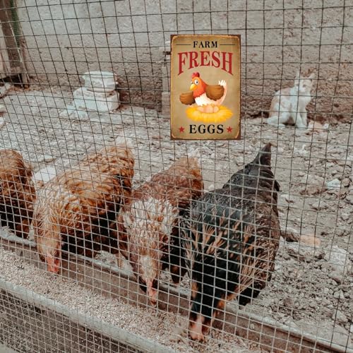 Funny Chicken Sign, Metal Chicken Coop Tin Signs, Farm Fresh Eggs Smile Chicken, Yard Sign Garage Farm Garden Wall Decor Sign Plaque Outdoor for Home Fence 8 X 12 Inches