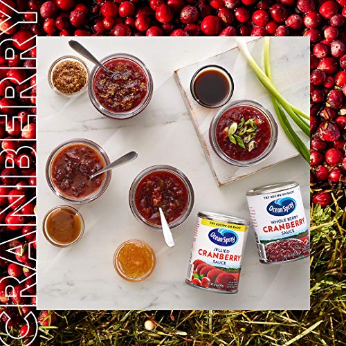 Ocean Spray Jellied Gluten Free Cranberry Sauce, 14 Ounce Can