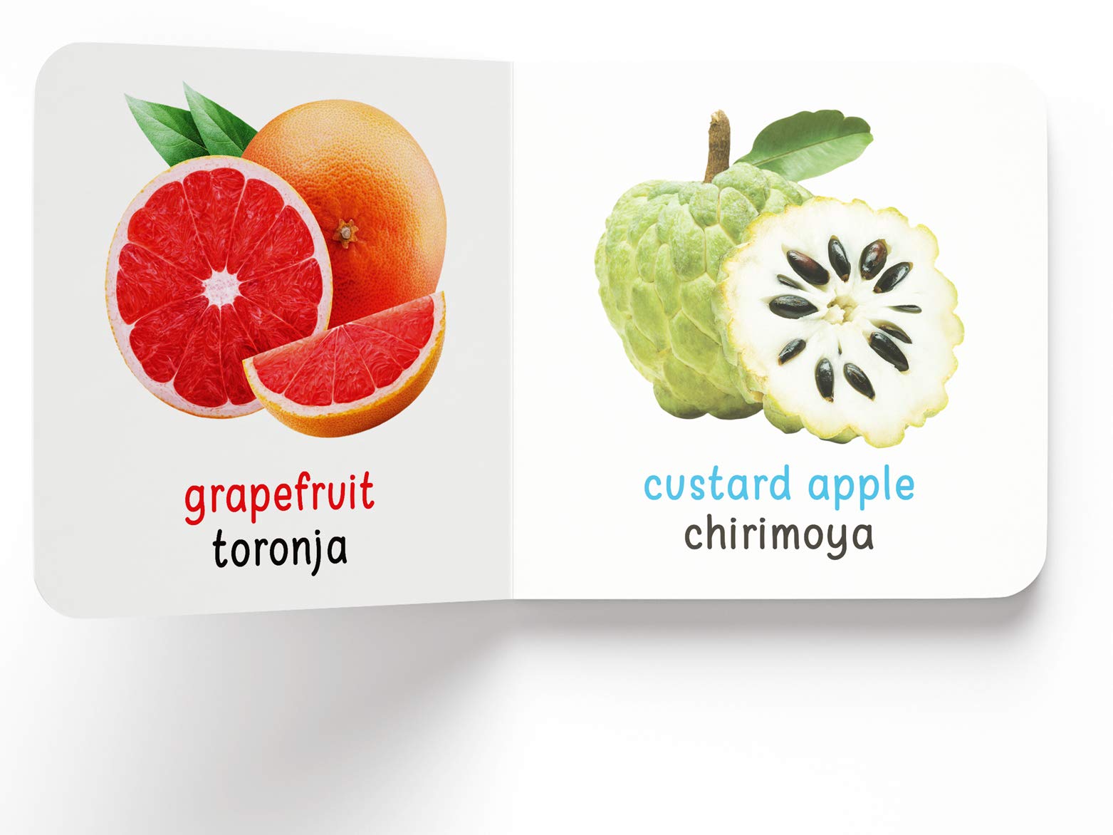 My First English - Español Learning Library (Mi Primera English - Español Learning Library): Boxset of 10 English - Spanish Board Books (Spanish Edition)