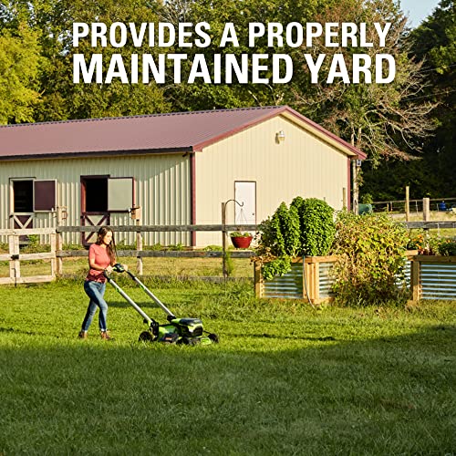 Greenworks 29423AZ 29423 Accessory, Blade for 21” Lawn Mower, Black