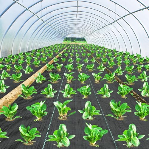 Pattiumo Weed Barrier Landscape Fabric 3x180FT 3.2oz Garden Weed Barrier Fabric Heavy Duty Woven Geotextile Fabric Weed Blocker Fabric Driveway Fabric Ground Cover Weed Barrier Mat Weed Control Fabric