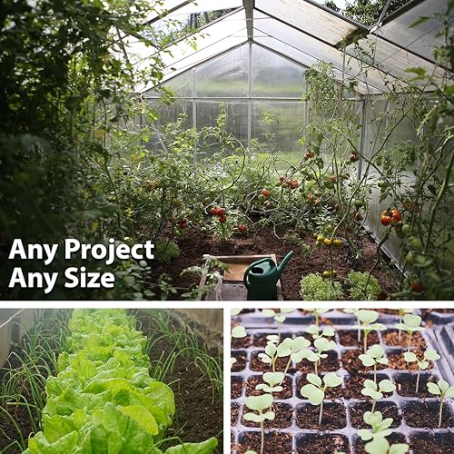 Legume Powder Inoculant - Cover Crop Seed Inoculant for Legume Seeds - 1 Oz Bag - Powder Rhizobia Inoculant for Cover Crop Hairy Vetch, Lentil Seeds, Fava Beans, Broad Bean, Garden Pea, and Field Peas