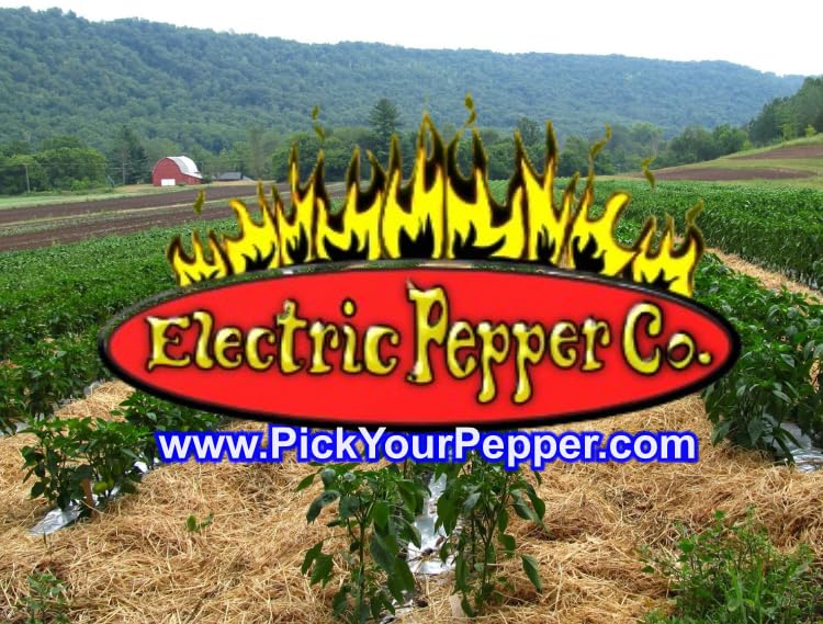 Wicked Reaper Carolina Reaper Chili Powder β 2 oz | Extreme Heat Dried Spice, 2.2 Million+ Scoville Heat Units | All-Natural Ghost Pepper Alternative