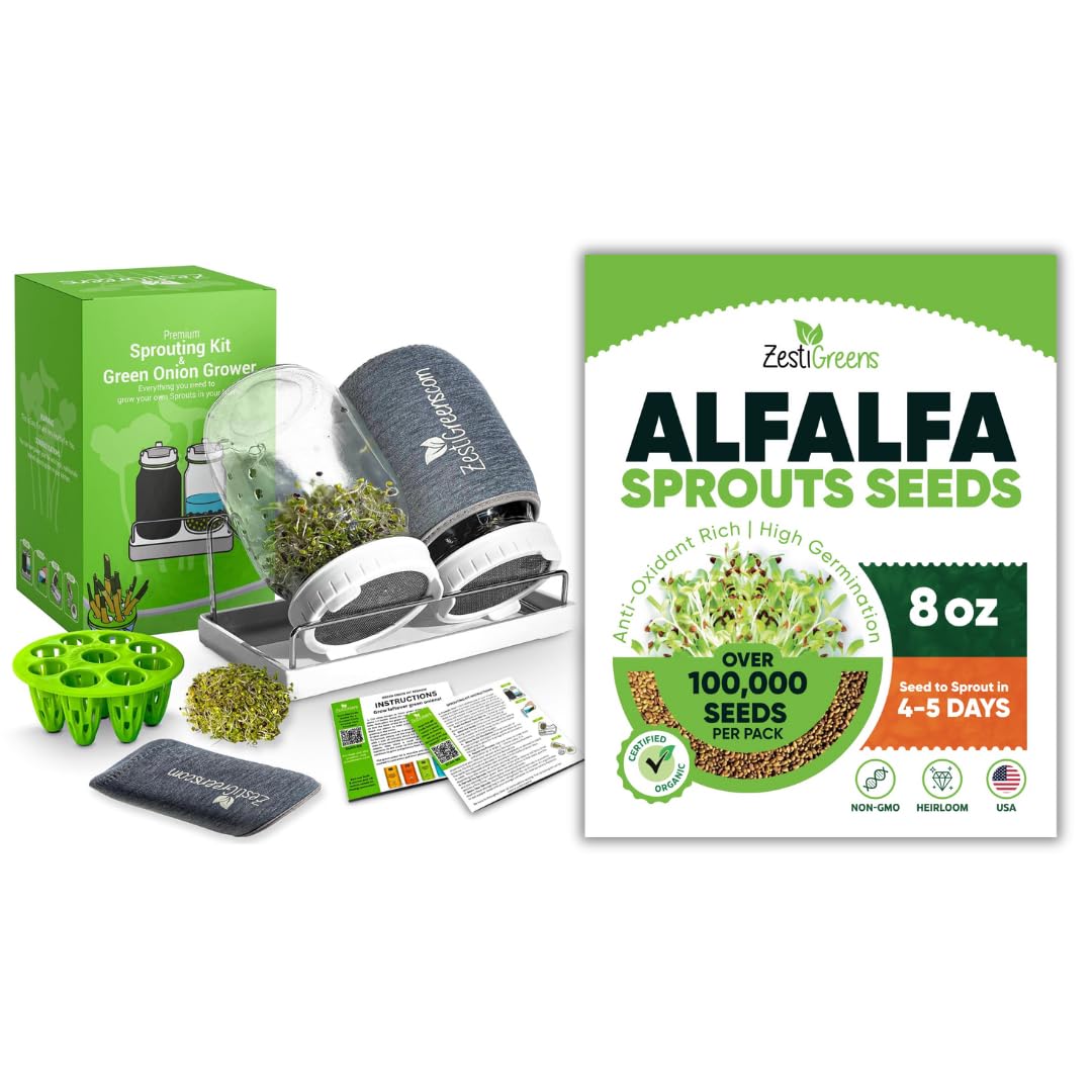 Premium Sprouts Growing Kit & Green Onion Regrower with 2 Mason Jars & Superior Sprout lids and Premium USA Alfalfa Seeds for Sprouting & Microgreens with High Germination Rate (0.5 lb)