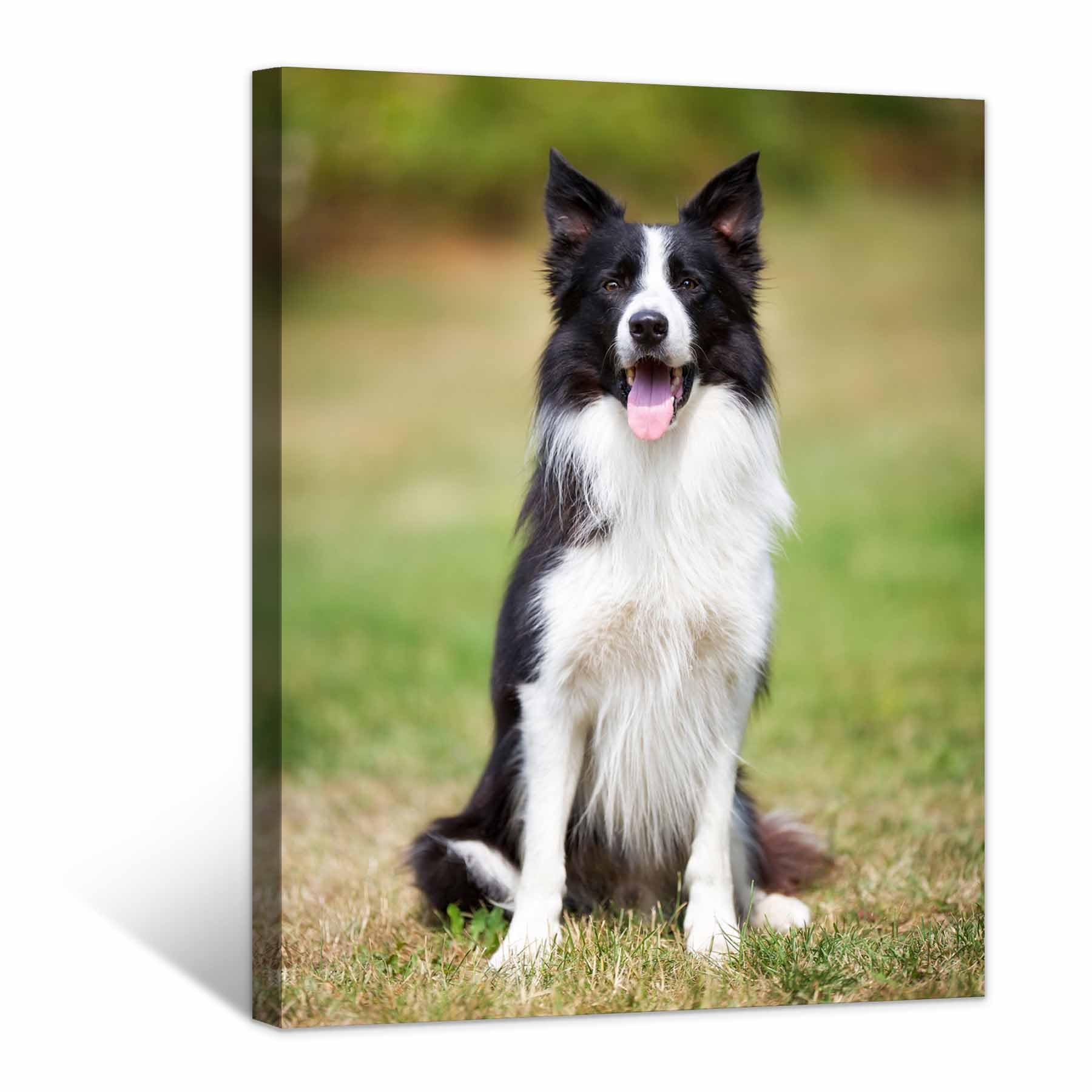 Custom Canvas Prints with Your Photos,Personalized Canvas Pictures Wall Art with Frame Customized Christmas Gifts for Friends,Family,Pets (16'' X 24'')