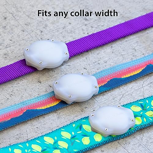 TagVault™ AirTag Dog Collar Mount (2 Pack) - IP68 Waterproof, Doesn't Dangle, Fits All Width Collars | Elevation Lab
