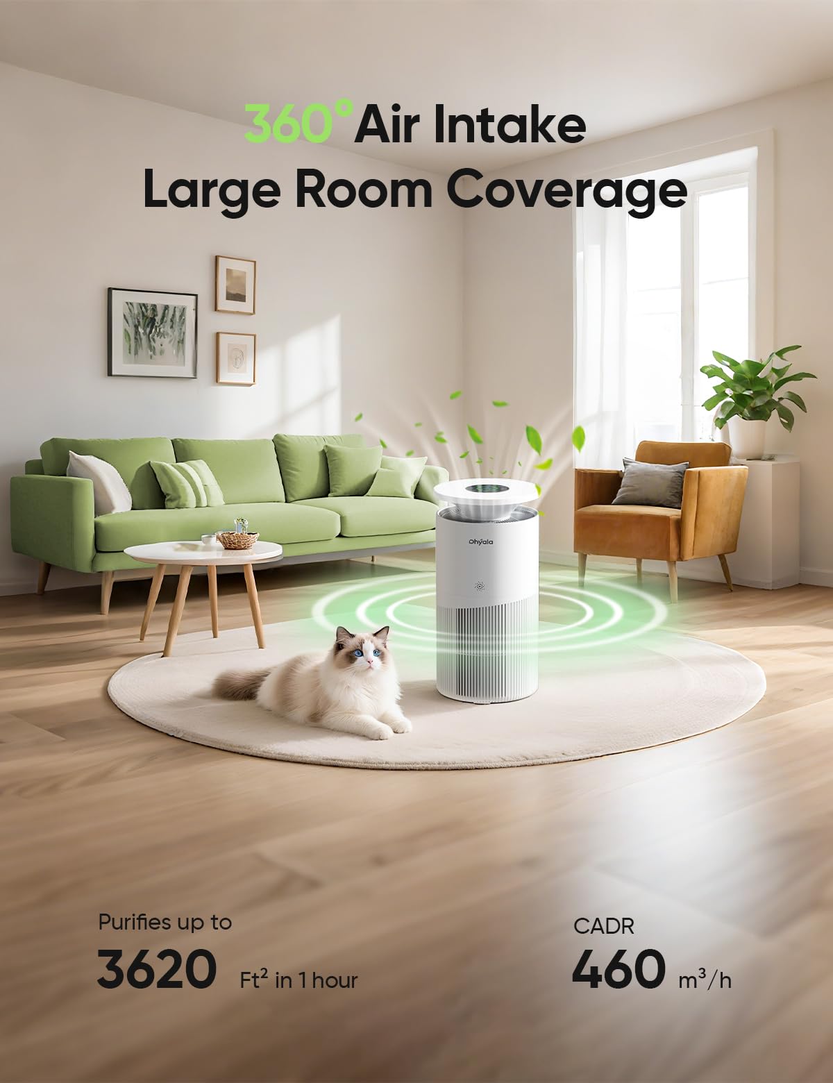 Dhyala Air Purifier for Home Large Room up to 3620FtΒ², H13 True HEPA Air Purifiers for Home Pet Hair Dander Odor Pollen, Air Cleaner with Smart WiFi, 360Β° Air Intake, Auto Mode, Pet Lock, 22dB Quiet
