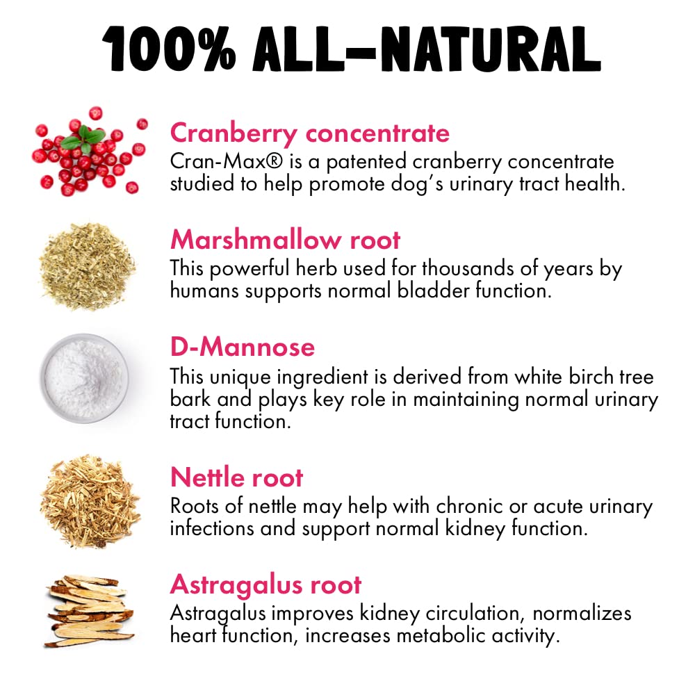 Cranberry UTI Chews for Dogs Bladder Suppot + D-Mannose Supports Kidney Urinary Tract and Bladder Health Natural Cranberry Wellness Supplement Immune System Booster Natural Pet Antioxidant 30 Chews
