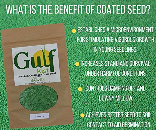 Centipede Grass Seed for a Dense Green Lawn, NO Mulch, 1 lb Coated Seeds, Sun and Moderate Shade Tolerant Lawn Seeding and Turf Patch Repair, Southern Southeast US, Low Fertilizer Low Maintenance