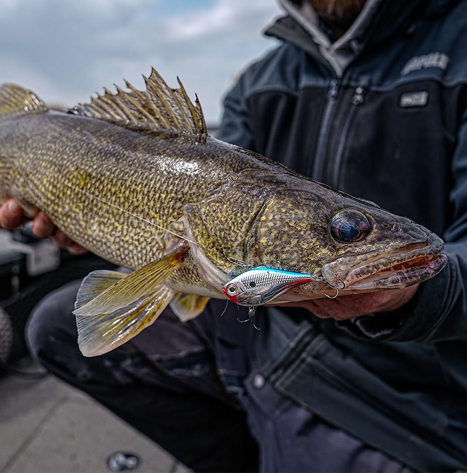 Rapala Rippin' Rap, Fishing Lure, Hard Bait, 2-1/2", Purple Shads