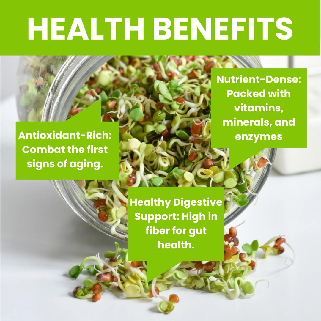 ZestiGreens Fresh Sprouting Seeds Mix (16oz) Broccoli, Alfalfa, Radish, Clover Seeds in Food Grade Colorful Container with Lid for Easier Scooping & Keeping Fresher