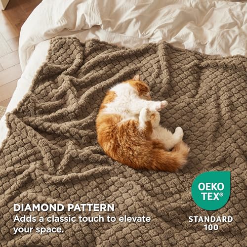 Bedsure Blue Throw Blanket for Couch - Super Soft Cozy Blankets for Women, Cute Small Blanket for Girls, Ashley Blue, 50x60 Inches