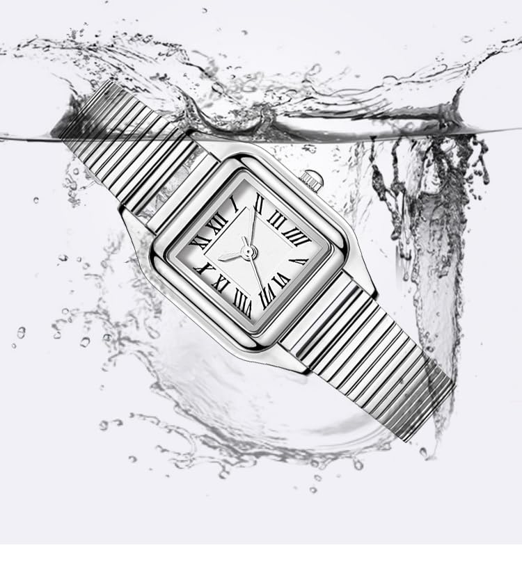 BESTKANG Women Watch Square Stainless Steel Waterproof Analog Quartz Roman Numerals Watch (Silver)