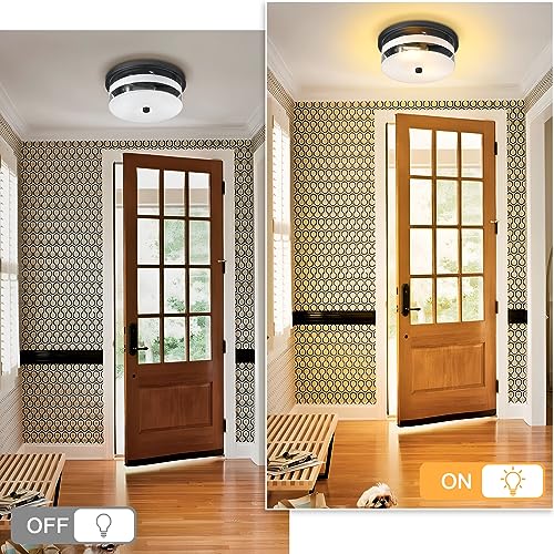 Flush Mount Ceiling Light with Clear Glass Shade, 2-Light Indoor Outdoor Farmhouse Lighting Flush Mount Lights for Kitchen Bedroom Porch Living Dining Room