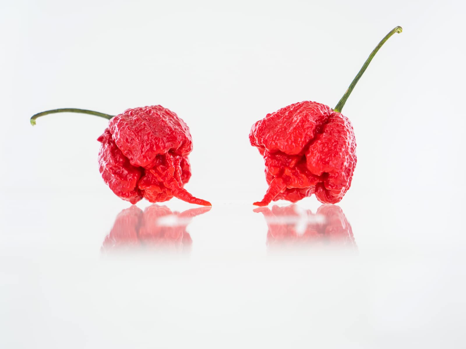 Pepper Joe’s Carolina Reaper Seeds – Pack of 10+ World’s Hottest Chili Pepper Seeds – USA Grown – Premium Non-GMO Carolina Reaper Seeds for Planting