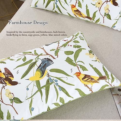 WINLIFE Queen Pillowcases Set of 2 100% Egyptian Cotton Queen Pillow Cases 2, 20×30 inches, Soft and Breathable Pillow Cover, White
