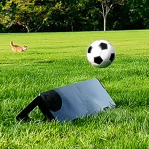 Royxen Soccer Rebounder Large Foldable Dual Angles Training Board for Soccer Training (33 x 13 Inch, Black)