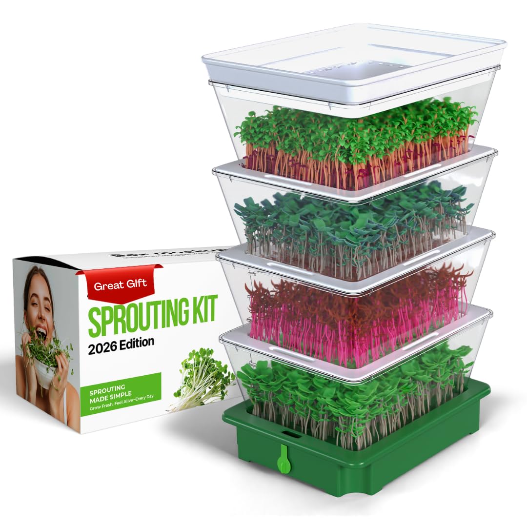 ZESTIGREENS 4-Tier Sprouting Kit with Drain Spout – Stackable Seed Sprouter Trays for Growing Fresh Sprouts at Home – BPA-Free, Easy Rinse & Drain System