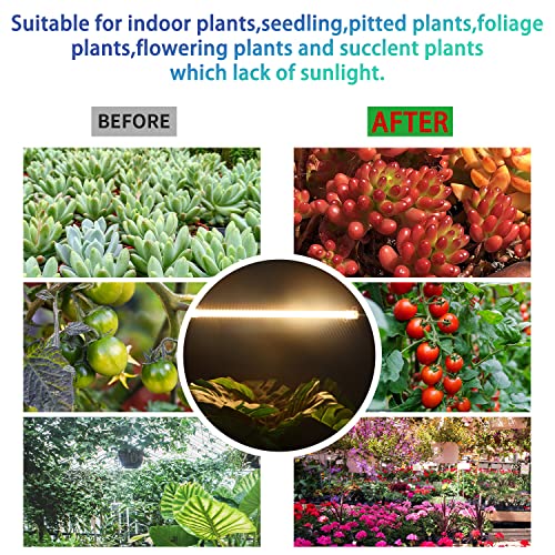 RWNTAO One Strip Growing lamp 2-Pack, Full Spectrum LED Grow Light Strips for Indoor Plants with Auto ON/Off Timer & 4 Dimmable Levels for Green House Hydroponics Succulent (One Head 2 Pack)