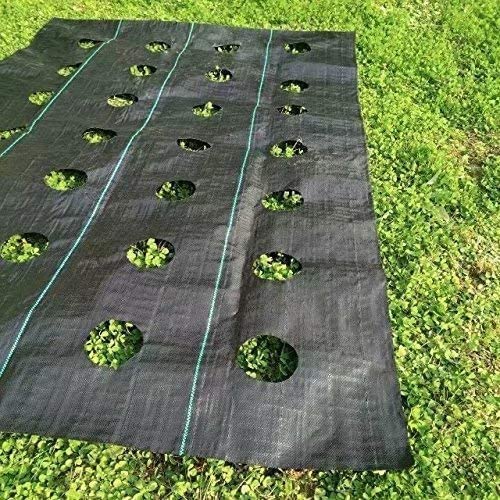 Agfabric Weed Barrier Landscape Fabric 4x6ft with Planting Holes, Hole Diameter 3", Hole Spacing 6", Row Spacing8 on Center