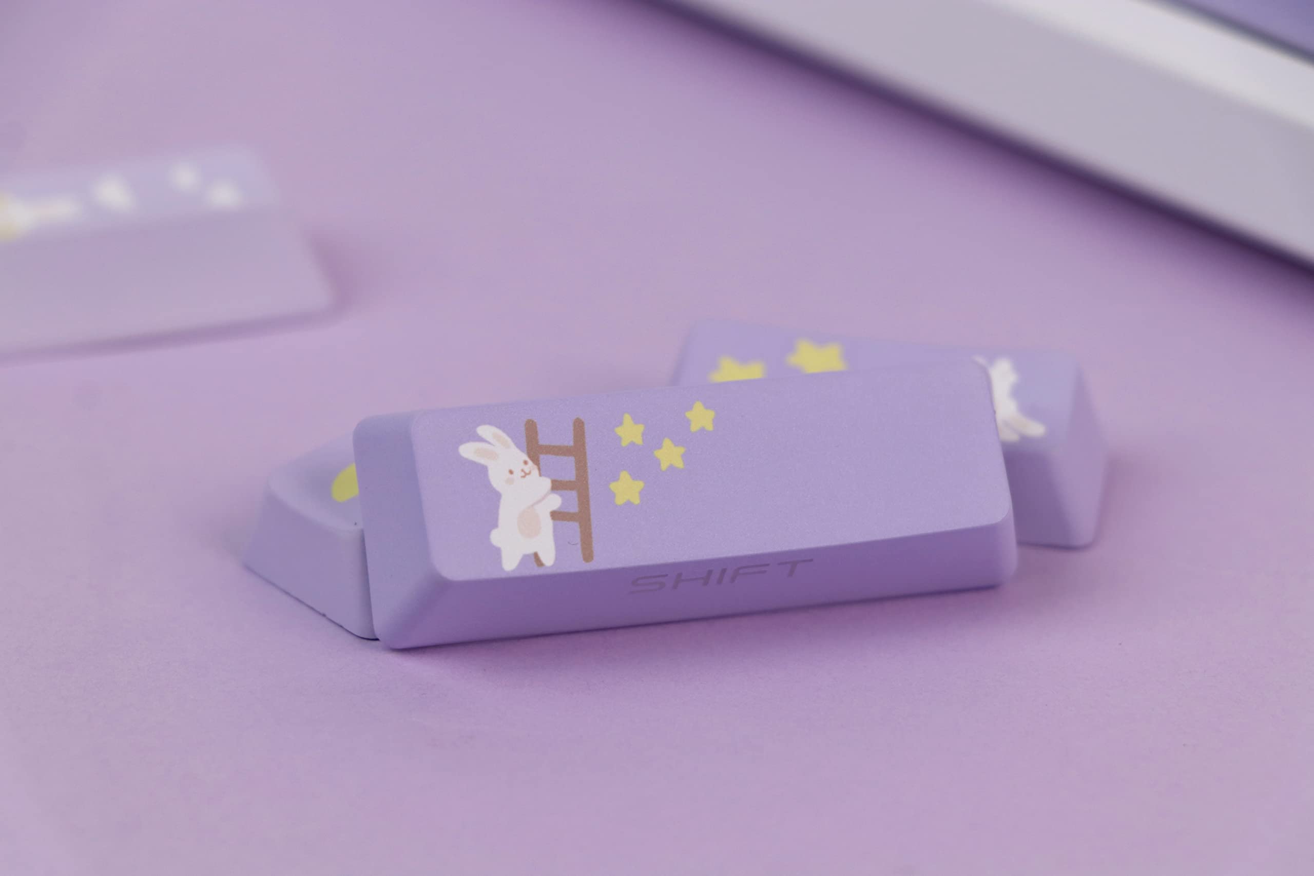 EPOMAKER Moonlit Bunny 138 PBT Keycaps Set, Side-printed, Side-lit Shine Through Five-side Dye Sublimation OEM Profile Gradient Keys for Mechanical Gaming Keyboard